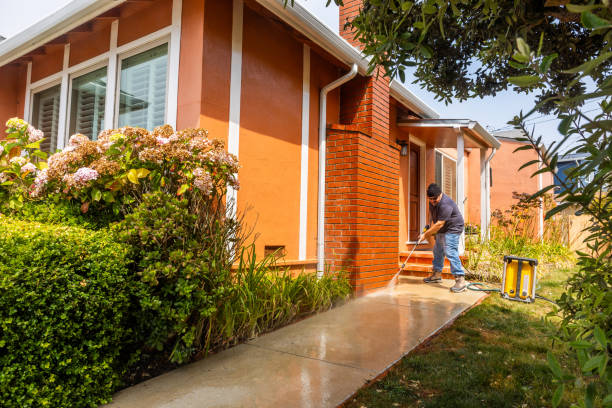 Best House Pressure Washing  in Noyack, NY